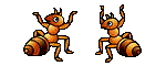 ameisen8.gif: 150 x 60  12.2kB