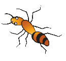 ameisen9.gif: 130 x 120  10.27kB