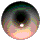 auge19.gif: 40 x 40  10.79kB