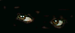 auge30.gif: 107 x 48  3.03kB