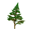 baum08.gif: 100 x 100  10.2kB