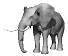 elefant05.gif: 136 x 112  23.52kB