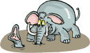 elefant17.gif: 131 x 77  10.99kB
