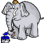 elefant25.gif: 91 x 90  16.24kB