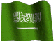 saudiarabien.gif: 80 x 60  23.95kB