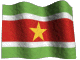 surinam.gif: 80 x 60  26.66kB