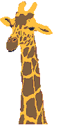 giraffe07.gif: 97 x 180  5.46kB