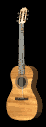 gitarre3.gif: 46 x 127  6.83kB