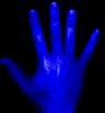 hand05.gif: 96 x 103  18.17kB