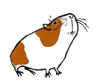 meerschwein2.gif: 140 x 120  12.1kB