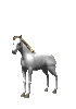 pferd03.gif: 70 x 100  14kB