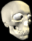 head20.gif: 46 x 60  11.66kB