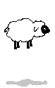 schaf13.gif: 78 x 125  2.21kB