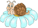 schnecke05.gif: 129 x 96  13kB