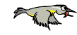 vogel01.gif: 109 x 50  6.99kB