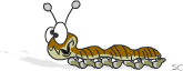 wurm16.gif: 165 x 64  12.28kB