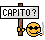 capito.gif: 45 x 40  0.65kB